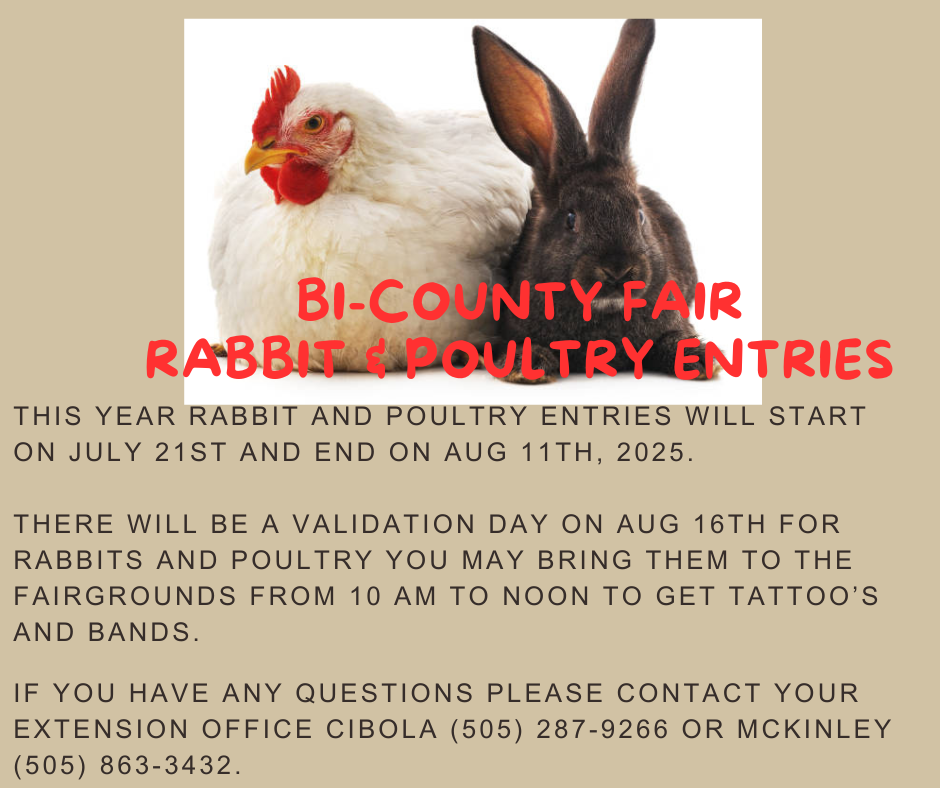 Illustration featuring a chicken and a rabbit, promoting registration details for the Bi-County Fair's rabbit and poultry entries.