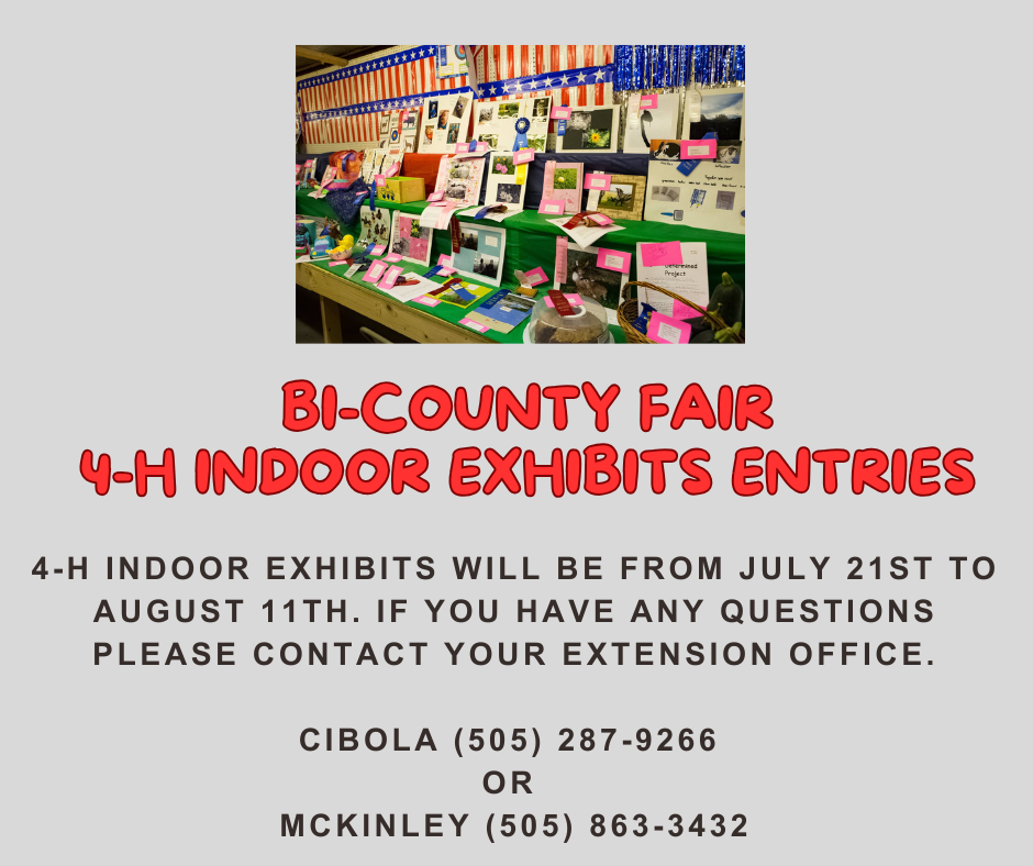 Promotional flyer for the Bi-County Fair featuring details about 4-H indoor exhibit entries, including dates and contact information.
