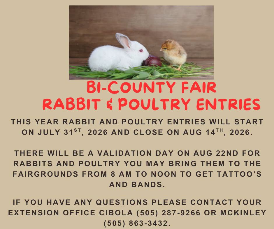 Rabbits Bicounty Fair 2026