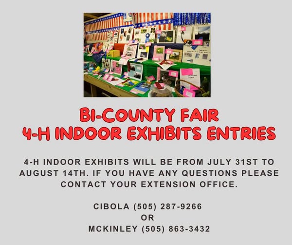 Indoor exhibits McKinley Bicounty Fair 2026