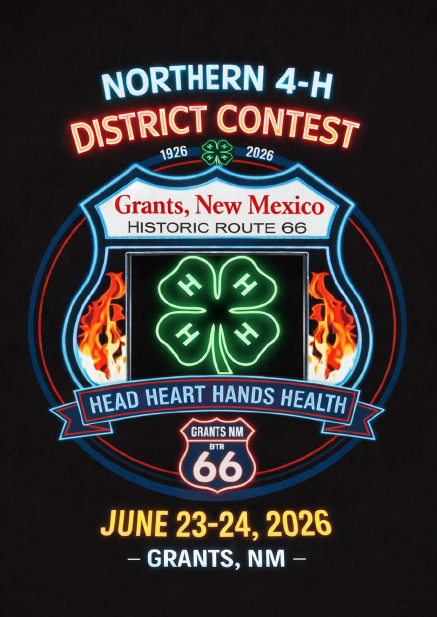 Northern 4-H District Contest Flyer